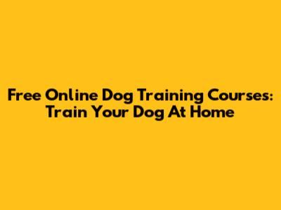 Free Online Dog Training Courses: Train Your Dog At Home