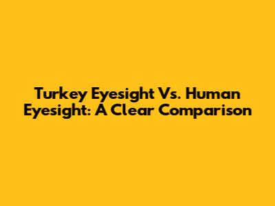 Turkey Eyesight Vs. Human Eyesight: A Clear Comparison